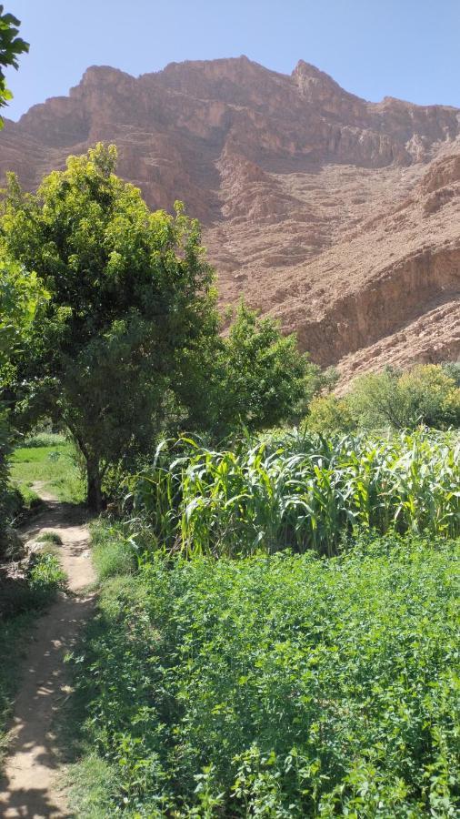 Riad Dar Ahlam Aït Baha Kültér fotó